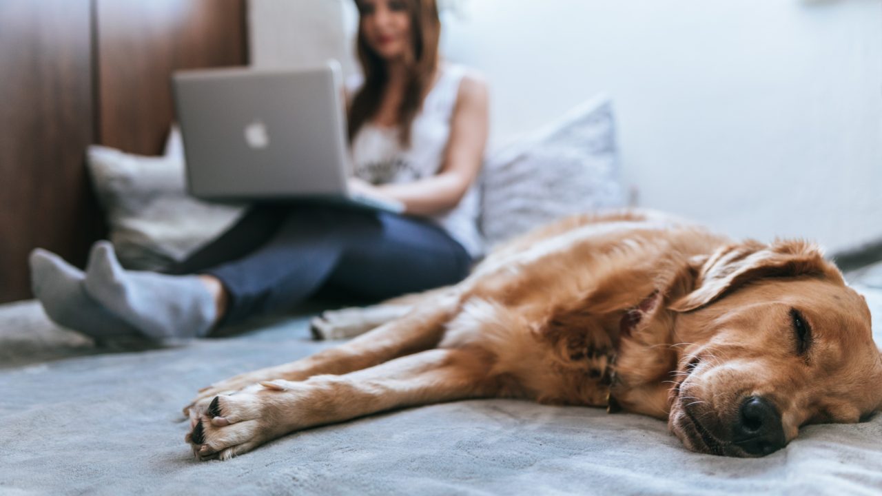 Online therapy for Georgia residents Online therapy in Atlanta
