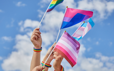 10 Best LGBTQIA+ Resources for Celebrating Your Pride