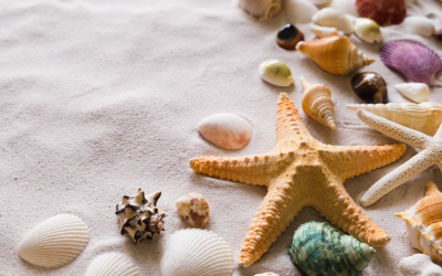 The Surprising Mood and Mental Health Effects of Summer